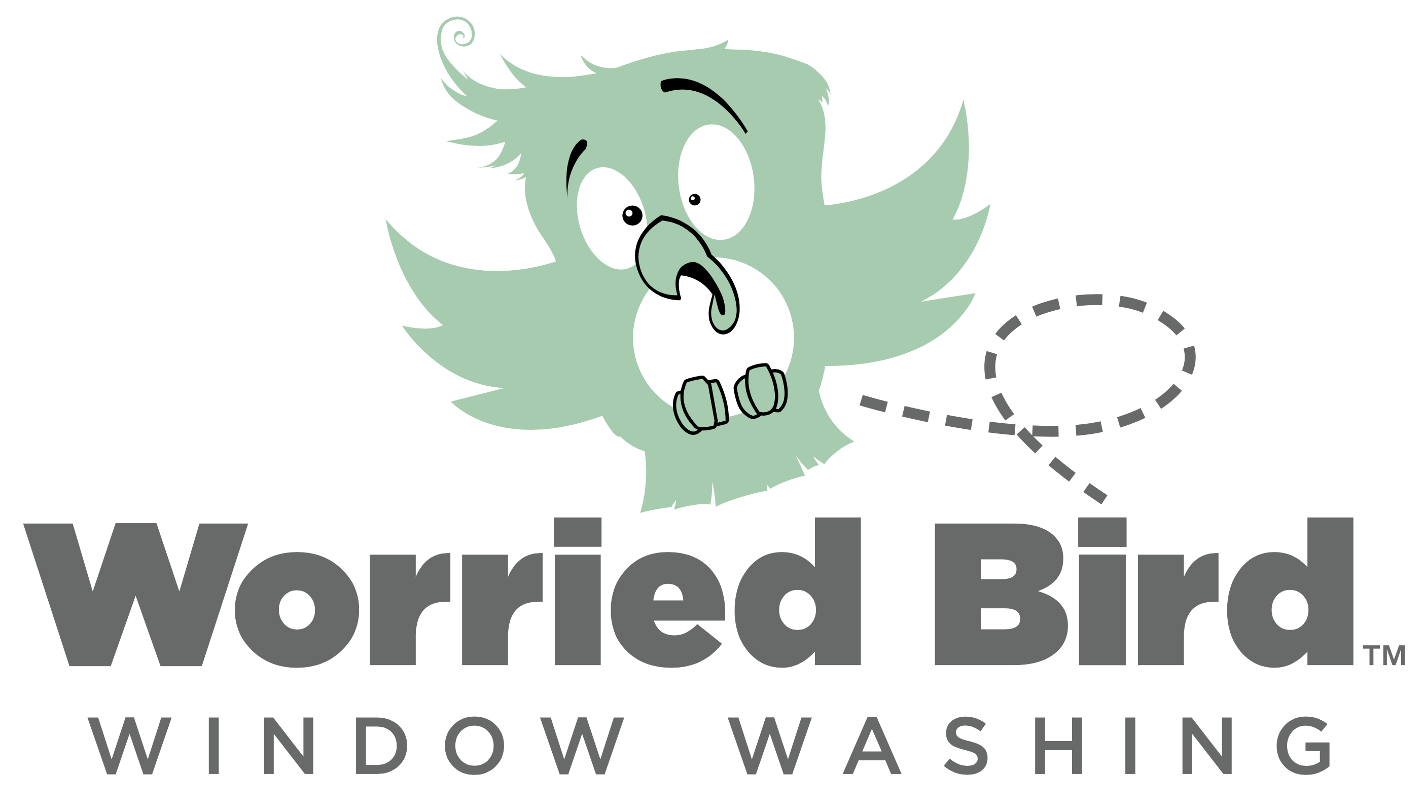 Worried Bird Window Washing