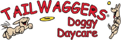 TailWaggers Doggy Daycare