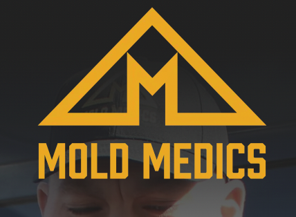 Mold Medics
