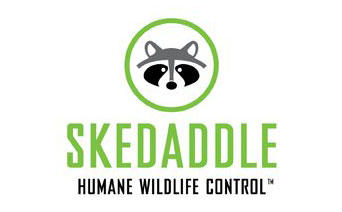 Skedaddle