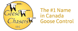 Geese Chasers