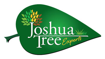 Joshua Tree Experts