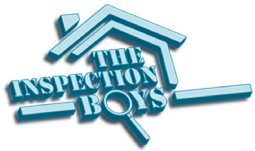 The Inspection Boys Logo