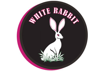 White Rabbit Cannabis logo